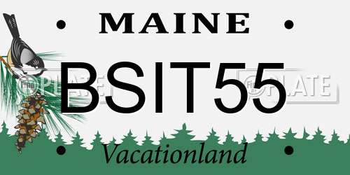 BSIT55 Maine License Plate