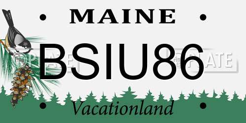 BSIU86 Maine License Plate