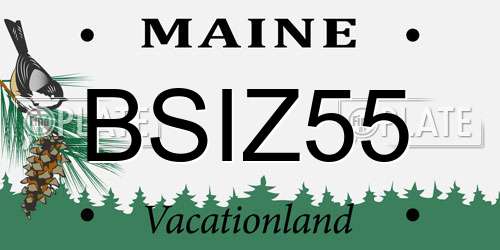 BSIZ55 Maine License Plate