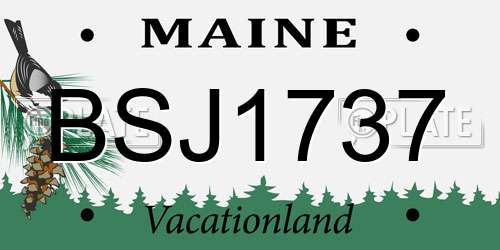 BSJ1737 Maine License Plate