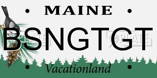 BSNGTGT Maine License Plate