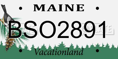 BSO2891 Maine License Plate