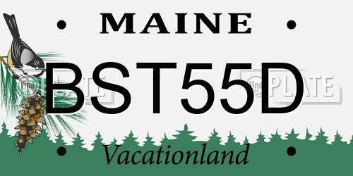 BST55D Maine License Plate