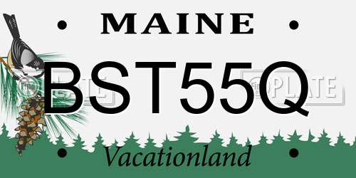 BST55Q Maine License Plate