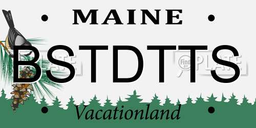 BSTDTTS Maine License Plate