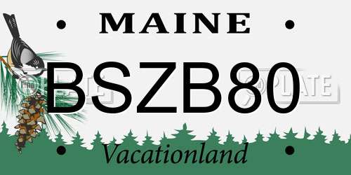 BSZB80 Maine License Plate