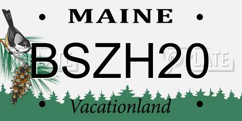 BSZH20 Maine License Plate