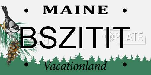 BSZITIT Maine License Plate