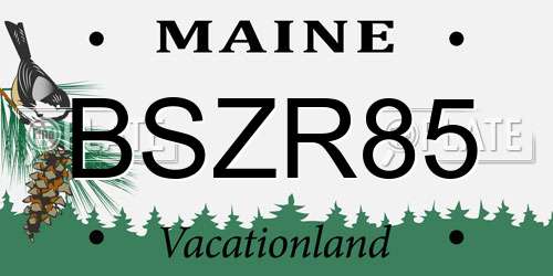 BSZR85 Maine License Plate