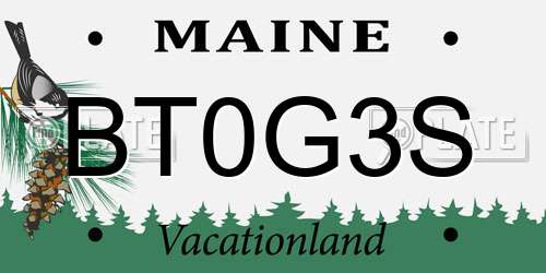 BT0G3S Maine License Plate