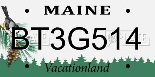 BT3G514 Maine License Plate