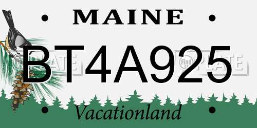 BT4A925 Maine License Plate