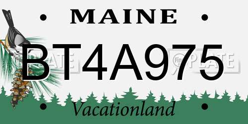 BT4A975 Maine License Plate