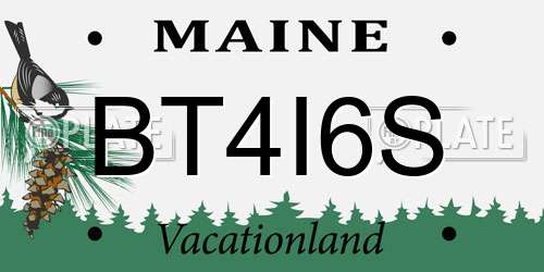 BT4I6S Maine License Plate