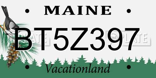 BT5Z397 Maine License Plate