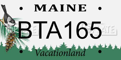 BTA165 Maine License Plate