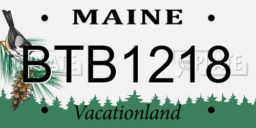 BTB1218 Maine License Plate