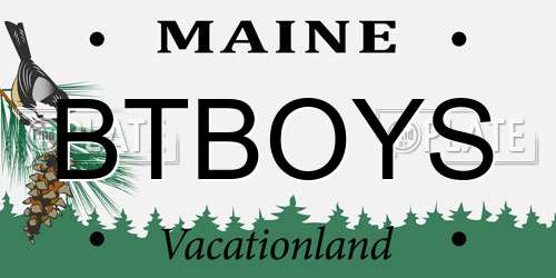 BTBOYS Maine License Plate