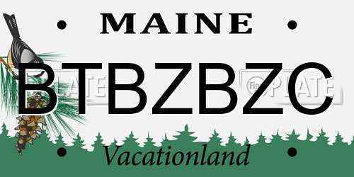 BTBZBZC Maine License Plate
