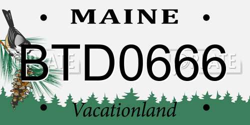 BTD0666 Maine License Plate