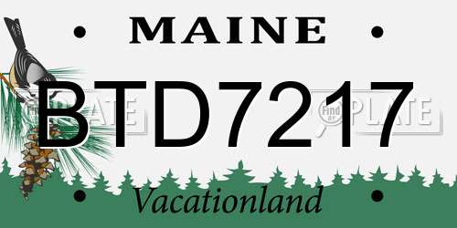 BTD7217 Maine License Plate