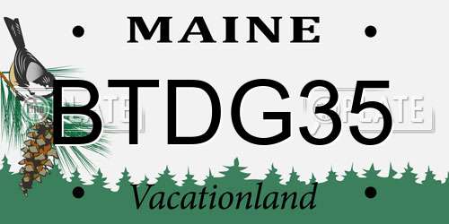 BTDG35 Maine License Plate