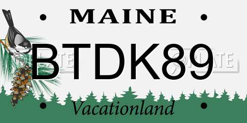 BTDK89 Maine License Plate