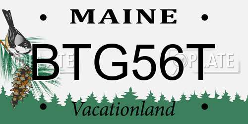BTG56T Maine License Plate
