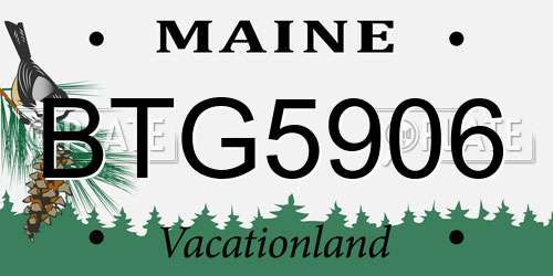BTG5906 Maine License Plate