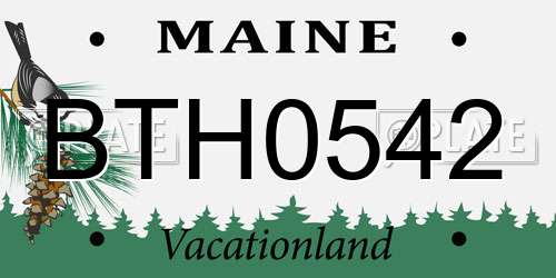 BTH0542 Maine License Plate