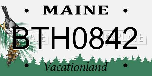 BTH0842 Maine License Plate