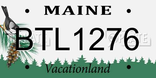 BTL1276 Maine License Plate