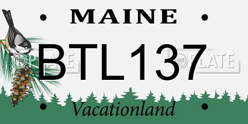 BTL137 Maine License Plate