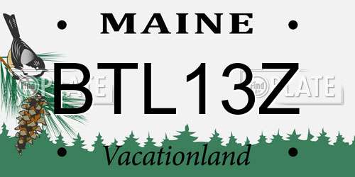 BTL13Z Maine License Plate