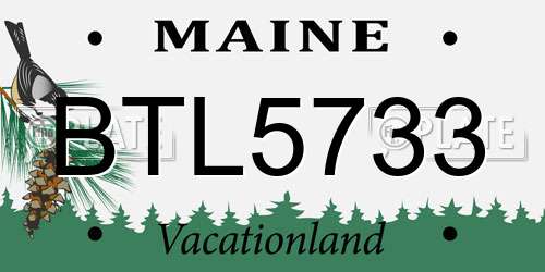 BTL5733 Maine License Plate