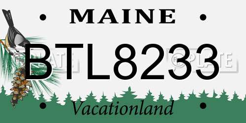 BTL8233 Maine License Plate