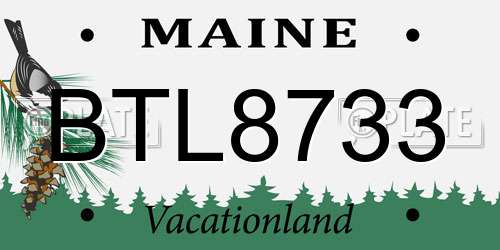 BTL8733 Maine License Plate