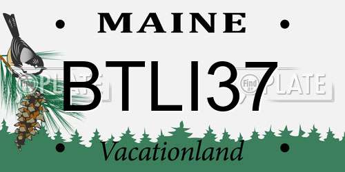 BTLI37 Maine License Plate