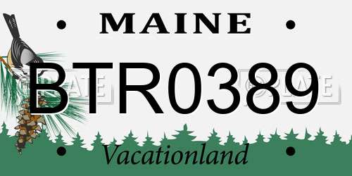 BTR0389 Maine License Plate