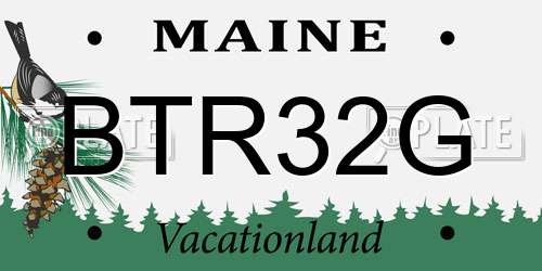BTR32G Maine License Plate