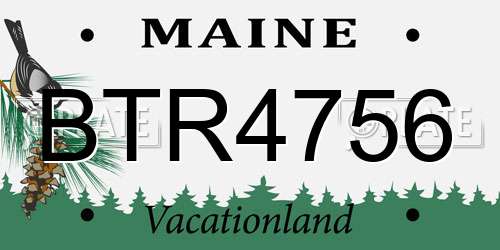 BTR4756 Maine License Plate