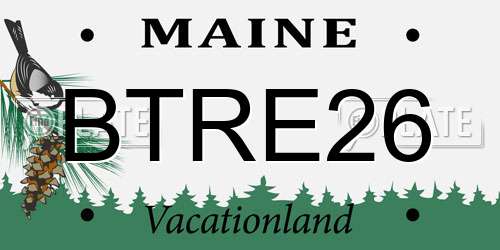 BTRE26 Maine License Plate