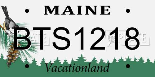 BTS1218 Maine License Plate