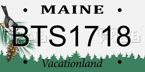 BTS1718 Maine License Plate