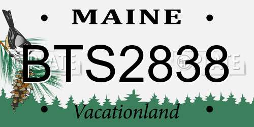 BTS2838 Maine License Plate