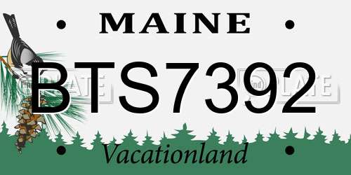 BTS7392 Maine License Plate