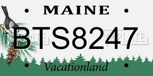BTS8247 Maine License Plate