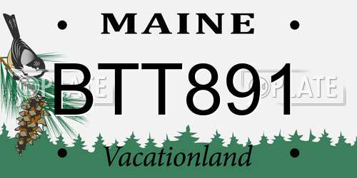 BTT891 Maine License Plate