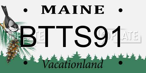 BTTS91 Maine License Plate