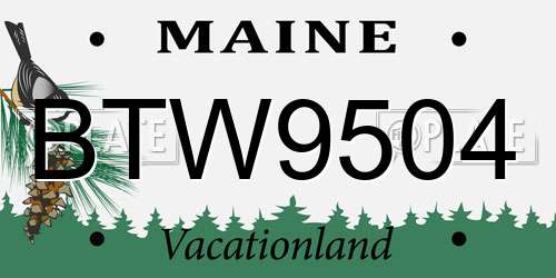 BTW9504 Maine License Plate